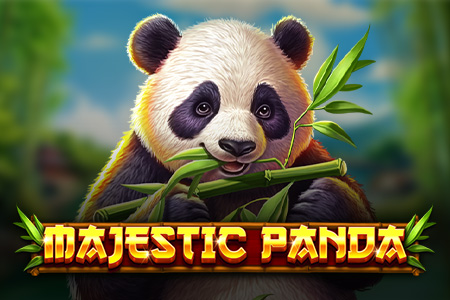 Majestic Panda
